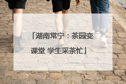 湖南常宁：茶园变课堂 学生采茶忙