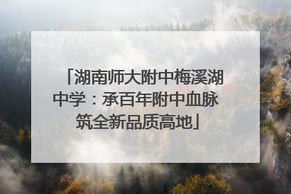 湖南师大附中梅溪湖中学：承百年附中血脉 筑全新品质高地