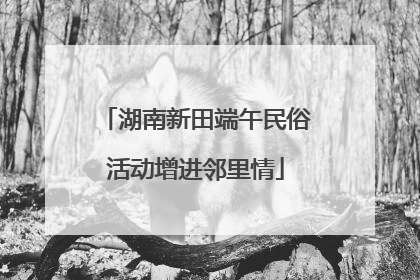湖南新田端午民俗活动增进邻里情