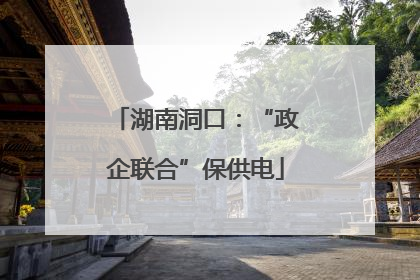 湖南洞口：“政企联合”保供电