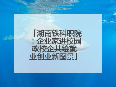 湖南铁科职院：企业家进校园 政校企共绘就业创业新图景