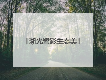 湖光鹭影生态美