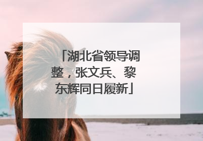 湖北省领导调整，张文兵、黎东辉同日履新