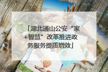 湖北通山公安“家+智慧”改革推进政务服务提质增效