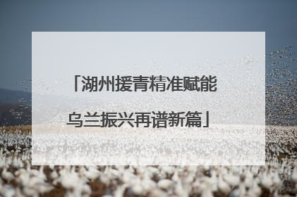 湖州援青精准赋能 乌兰振兴再谱新篇
