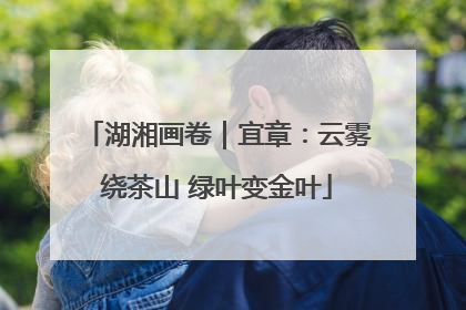 湖湘画卷｜宜章：云雾绕茶山 绿叶变金叶