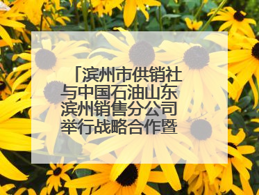 滨州市供销社与中国石油山东滨州销售分公司举行战略合作暨充电站业务合作协议签约仪式