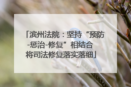 滨州法院：坚持“预防-惩治-修复”相结合 将司法修复落实落细