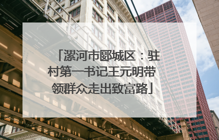 漯河市郾城区：驻村第一书记王元明带领群众走出致富路