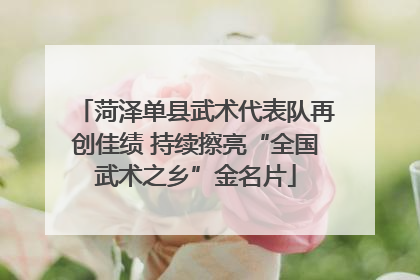 菏泽单县武术代表队再创佳绩 持续擦亮“全国武术之乡”金名片