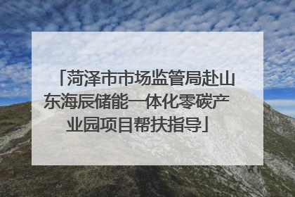 菏泽市市场监管局赴山东海辰储能一体化零碳产业园项目帮扶指导
