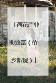 荷花产业助致富（侨乡新貌）