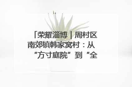 荣耀淄博｜周村区南郊镇韩家窝村：从“方寸庭院”到“全域文明”，乡村振兴的“美学革命”
