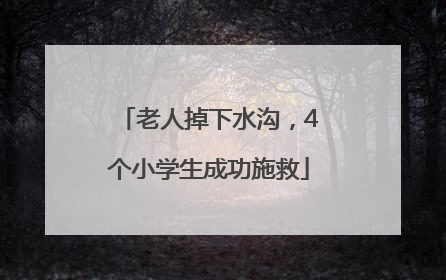 老人掉下水沟，4个小学生成功施救