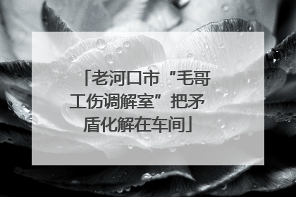 老河口市“毛哥工伤调解室”把矛盾化解在车间