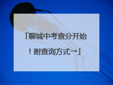 聊城中考查分开始！附查询方式→