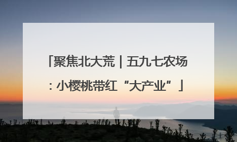 聚焦北大荒｜五九七农场：小樱桃带红“大产业”