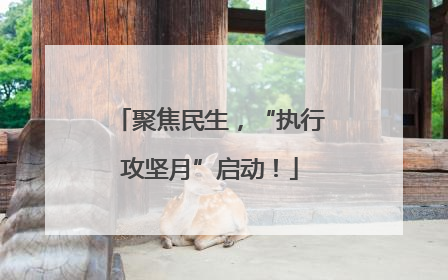 聚焦民生，“执行攻坚月”启动！