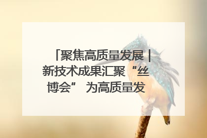 聚焦高质量发展｜新技术成果汇聚“丝博会” 为高质量发展注入新动能