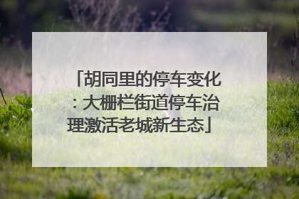 胡同里的停车变化：大栅栏街道停车治理激活老城新生态
