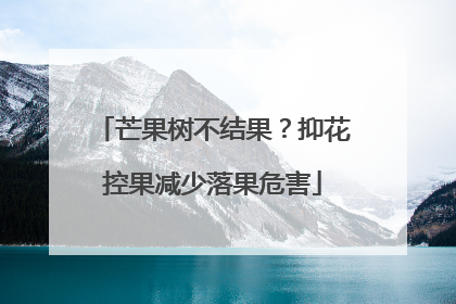 芒果树不结果？抑花控果减少落果危害