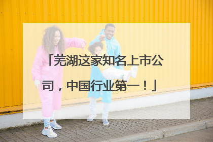 芜湖这家知名上市公司，中国行业第一！