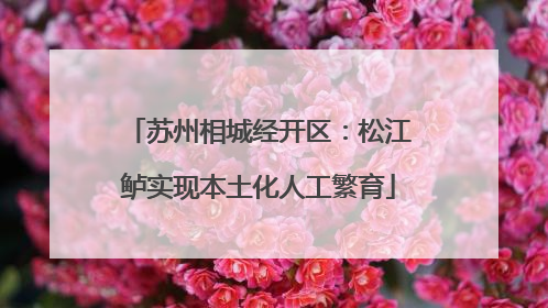 苏州相城经开区：松江鲈实现本土化人工繁育