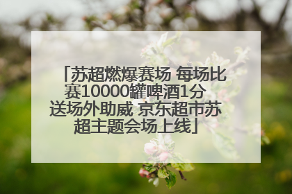 苏超燃爆赛场 每场比赛10000罐啤酒1分送场外助威 京东超市苏超主题会场上线