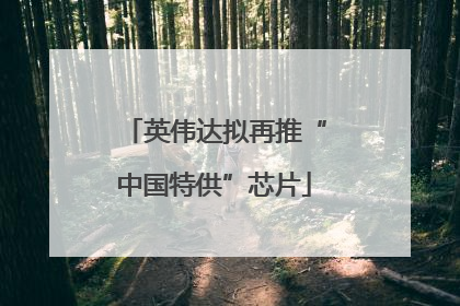 英伟达拟再推“中国特供”芯片