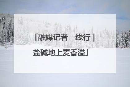 融媒记者一线行｜盐碱地上麦香溢
