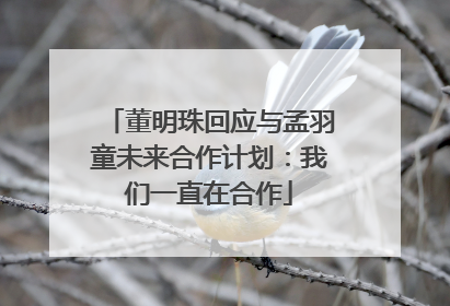 董明珠回应与孟羽童未来合作计划：我们一直在合作