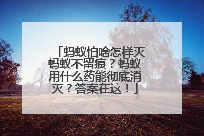 蚂蚁怕啥怎样灭蚂蚁不留痕？蚂蚁用什么药能彻底消灭？答案在这！