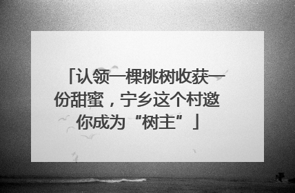 认领一棵桃树收获一份甜蜜，宁乡这个村邀你成为“树主”