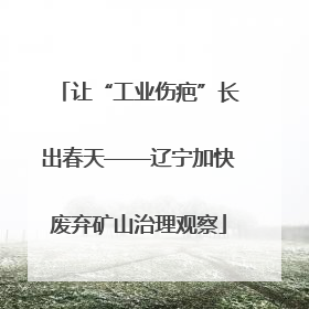让“工业伤疤”长出春天——辽宁加快废弃矿山治理观察