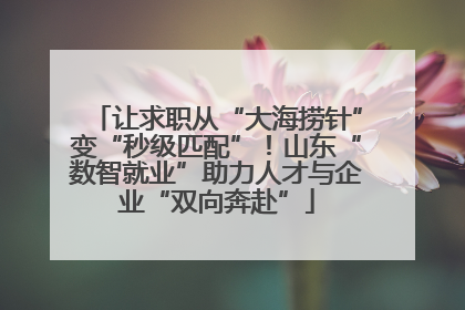 让求职从“大海捞针”变“秒级匹配”！山东“数智就业”助力人才与企业“双向奔赴”