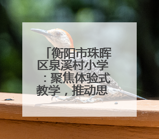 衡阳市珠晖区泉溪村小学：聚焦体验式教学，推动思政课堂创新