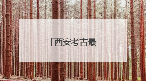 西安考古最新发现！