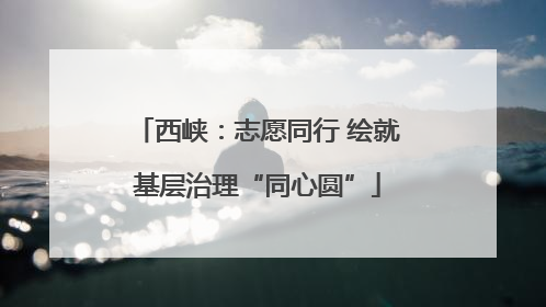 西峡：志愿同行 绘就基层治理“同心圆”
