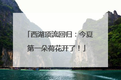 西湖顶流回归：今夏第一朵荷花开了！