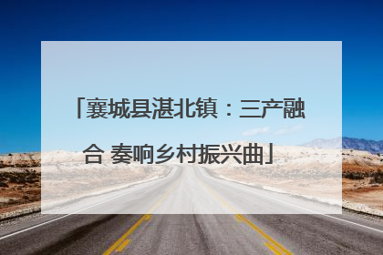 襄城县湛北镇：三产融合 奏响乡村振兴曲