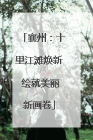 襄州：十里江滩焕新 绘就美丽新画卷