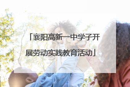 襄阳高新一中学子开展劳动实践教育活动