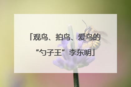 观鸟、拍鸟、爱鸟的“勺子王”李东明