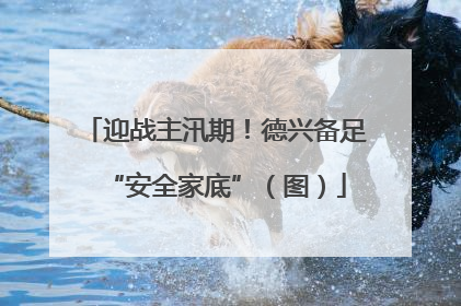 迎战主汛期！德兴备足“安全家底”（图）