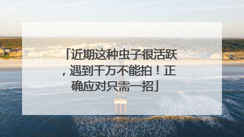 近期这种虫子很活跃，遇到千万不能拍！正确应对只需一招