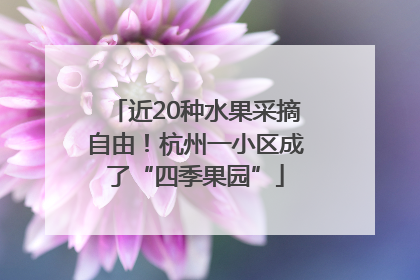 近20种水果采摘自由！杭州一小区成了“四季果园”