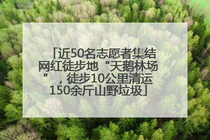 近50名志愿者集结网红徒步地“天鹅林场”，徒步10公里清运150余斤山野垃圾