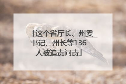 这个省厅长、州委书记、州长等136人被追责问责