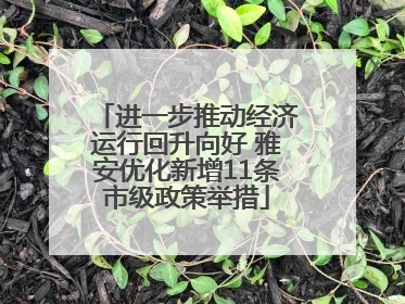 进一步推动经济运行回升向好 雅安优化新增11条市级政策举措