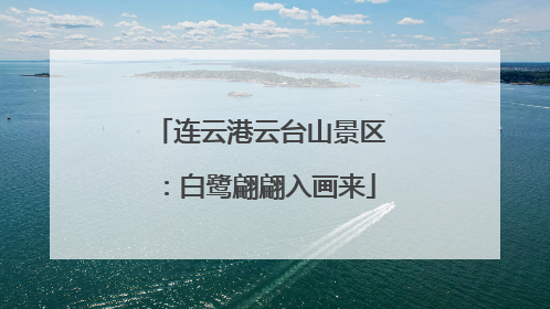 连云港云台山景区：白鹭翩翩入画来